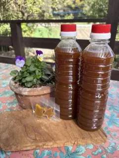 Item thumbnail for item 0c5ce60b-fec7-44b0-bfdd-85de13f14e6e