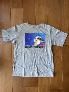 ディズニー アラジンTシャツ 150 中古美品