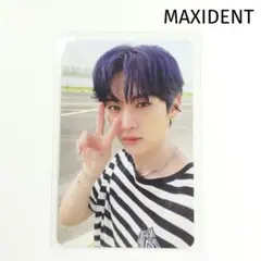 スキズ MAXIDENT トレカ リノ - メルカリ