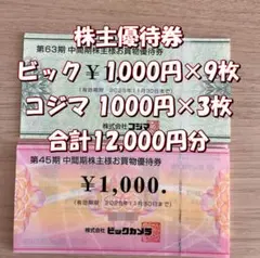 株主優待 12000円分（ビックカメラ9000円 コジマ6000円）★メルカリ便