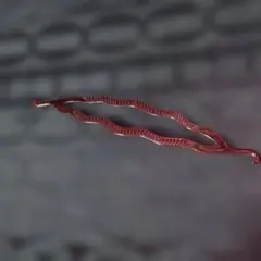 Item thumbnail for item 48c7ee8e-12df-4065-a58c-b0b002e0cc09