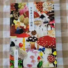 Item thumbnail for item 19605f25-f2bf-4211-a02a-9e443a330a19