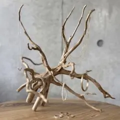 ブランチスタンド アクセサリースタンド エアプラツ チランジア インテリア