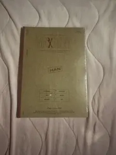 Stray Kids スキズ MAXIDENT CASE ver