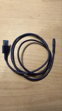 Lightningケーブル 紺