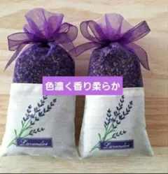 Item thumbnail for item 43ad7320-0488-4a46-b8b5-48abbb47c09c