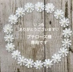 プチローズ様専用となります。