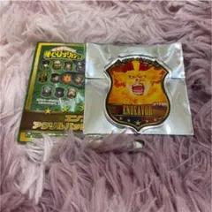 ヒロアカ　アクリルバッジ　エンデヴァー