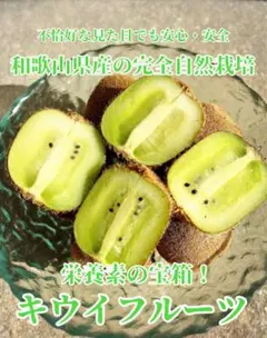 和歌山県産　完全自然栽培　栄養の宝箱・キウイ　1キロ　硬い目選別　サイズ混合