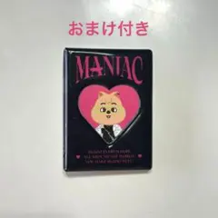 【夏休み！⚠️大幅値下げ⚠️】SKZOO スキズ ハン コレクトブック　トレカケース