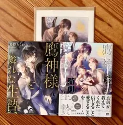 『 鷹神様と憐れな生贄』『鷹神様と憐れな生贄 宵月』セット売り