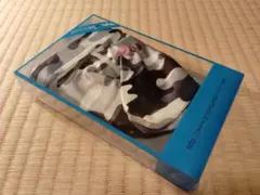 ＰＧ・ジョックストラップ