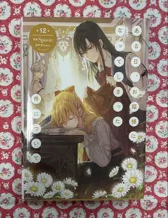 ある日、お姫様になってしまった件について 12巻