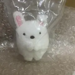 すみっコぐらし　ファンクラブ　限定　マニアックてのりぬいぐるみ しろくま　FC