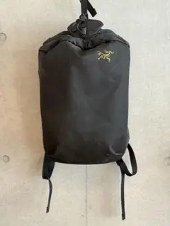 Arc'teryx Arro20