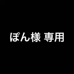 専用出品