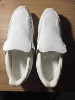 Item thumbnail for item 183ef911-9147-4987-9ba6-caa2705104ce