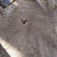 AMERICAN EAGLE グレー Vネックセーター S