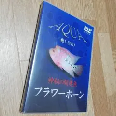 Item thumbnail for item 170c694a-965b-4bf7-93d4-5eeff7085f2f