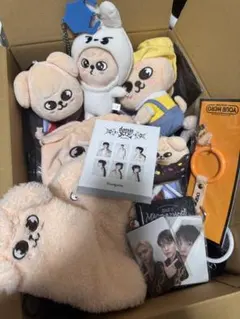 straykids スンミン グッズ セット まとめ売り