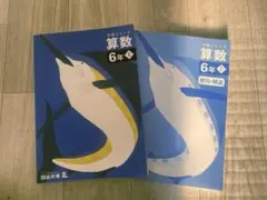 中学受験　予習シリーズ　四谷大塚　　算数6年上