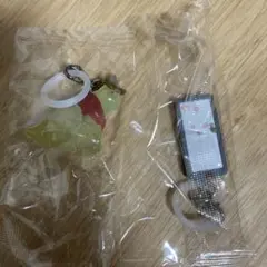 モンスターズインク めじるしアクセサリー　ロズ　ドア