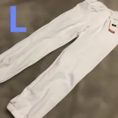 ⭐️新品未使用　野球練習用パンツ　sagear サイズL