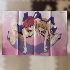 とらドラ&かんなぎ　両面ポスター　メガミマガジン 2009年4月号付録