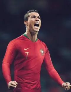 メンズL　ナイキ　オーセンティック　2018年　ポルトガル代表　　ユニフォーム