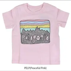 【Patagonia】 ベビー・フィッツロイ・スカイズ　T タグ付き新品　80のサムネイル