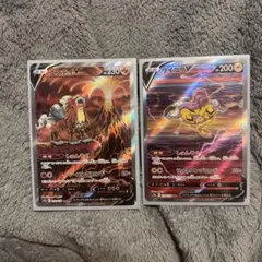 ライコウV SAR エンテイV SAR