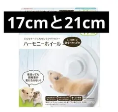 Item thumbnail for item c9a75fa8-5470-4e84-8881-febedd0f98f7