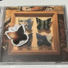 2025年最新】ミニマムジークの人気アイテム - メルカリ