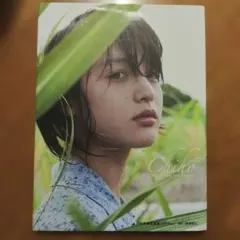 Item thumbnail for item b7bea3f3-81a3-4873-a2e7-c9aa0ccae1e0