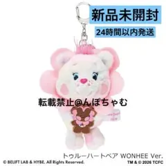 HATT(イェジ) モバイルぬいぐるみスタンド 「WDZY」 - メルカリ