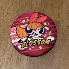 パワーパフガールズ　刺繍缶バッジ