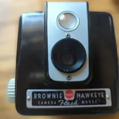 2025年最新】hawkeye brownieの人気アイテム - メルカリ