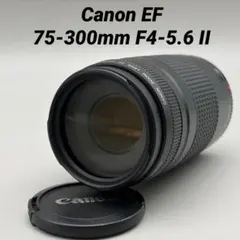 Canon キヤノン EF75-300mm F4-5.6 II 望遠レンズのサムネイル