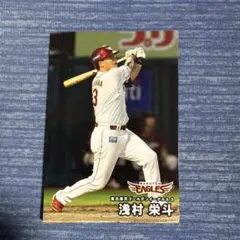 Item thumbnail for item 292d9270-6441-4c16-8630-007f09907fc3