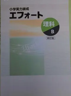 限定値下げ！ 成績UP エフォート教材(小学校復習＋中学校3年間分) 楽天市場】塾専用 小学実力練成 エフォート 国語 ステージIII