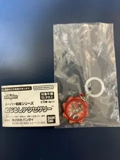 めじるしアクセサリー　スーパー戦隊