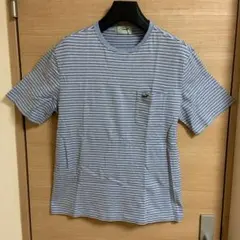 Crocodileネイビー ストライプ Tシャツ