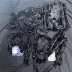 Item thumbnail for item b38d2b21-79a3-43d9-aa37-cf850f7e6df1