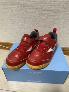 【美品】Mizuno フットサル・体育館シューズ 19.0