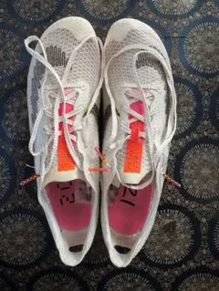 Item thumbnail for item de4634a8-b19a-48e5-af95-7623e232bbd1