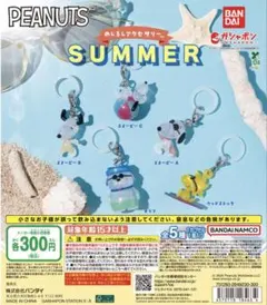 PEANUTS 메지루시 액세서리 SUMMER 총 5종 컴플리트 세트