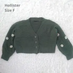 Hollister デイジー刺繍カーディガンFのサムネイル