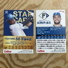 2024年カルビープロ野球チップス　北海道日本ハムファイターズ