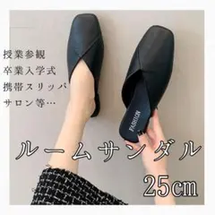 ルームサンダル　25㎝　携帯スリッパ　室内室外　軽量　学校行事　サロン　来客用のサムネイル