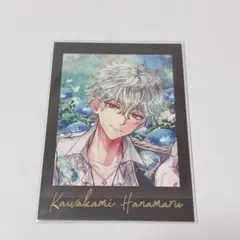 2026年最新】あくねこ ハナマル レアの人気アイテム - メルカリ